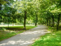 /album/fotogalerie-borsky-park-hriste-pro-deti/borsky-park22-jpg/